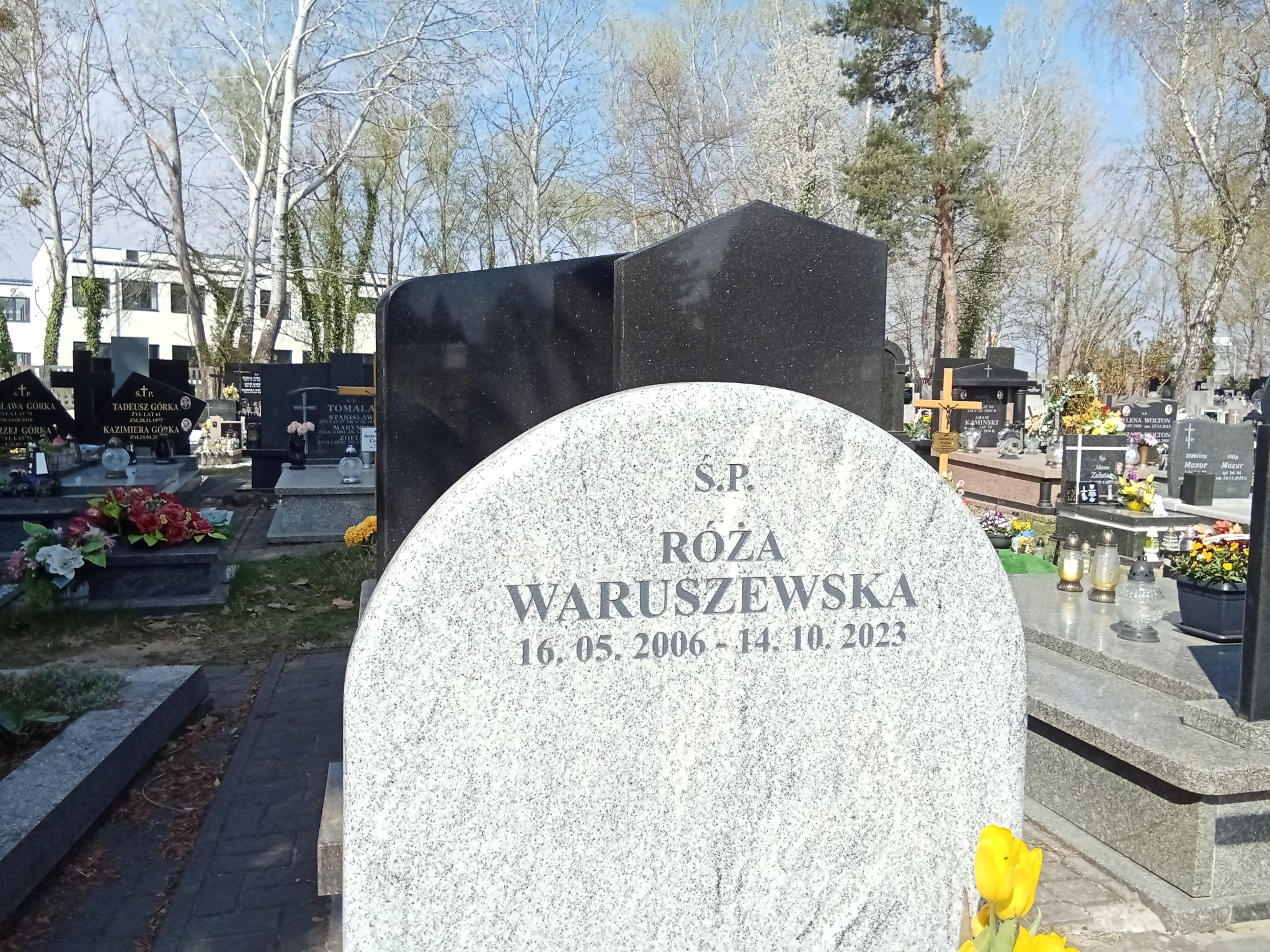 Róża Waruszewska 2006 Piaseczno - Grobonet - Wyszukiwarka osób pochowanych