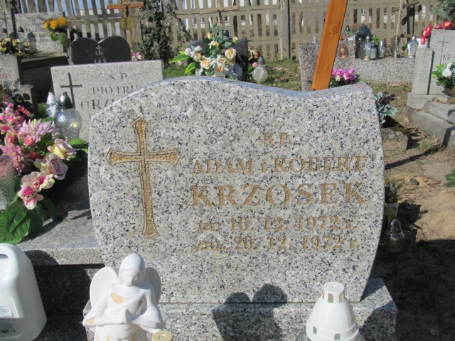 Adam Krzosek 1972 Piaseczno - Grobonet - Wyszukiwarka osób pochowanych