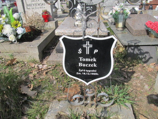 Tomasz Buczek Piaseczno - Grobonet - Wyszukiwarka osób pochowanych