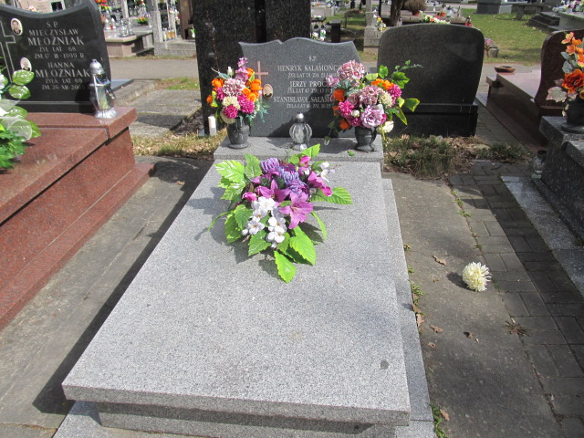Grób Stanisława Salamończyk