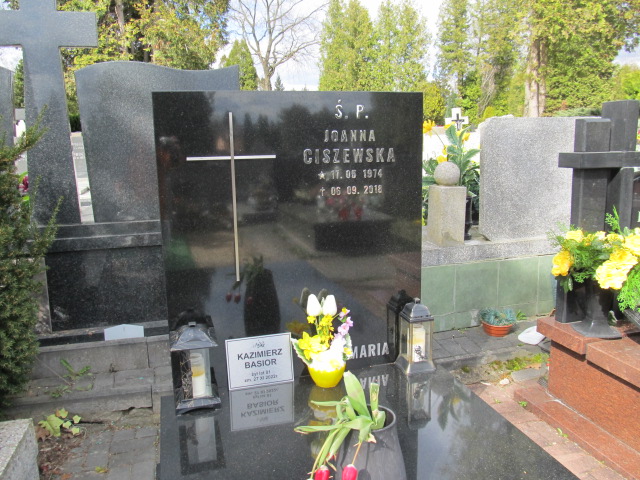 Kazimierz Basior 1941 Piaseczno - Grobonet - Wyszukiwarka osób pochowanych