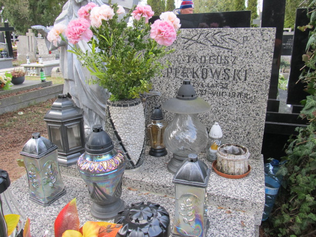 Tadeusz Perkowski 1939 Piaseczno - Grobonet - Wyszukiwarka osób pochowanych