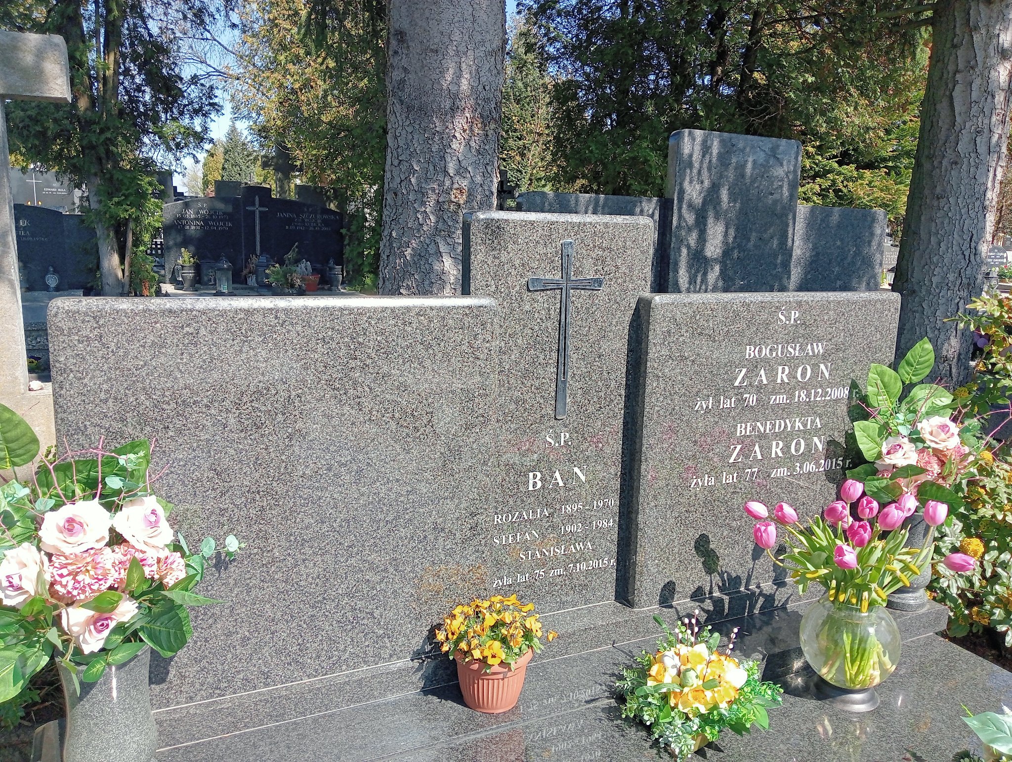 Grób Stanisława Ban