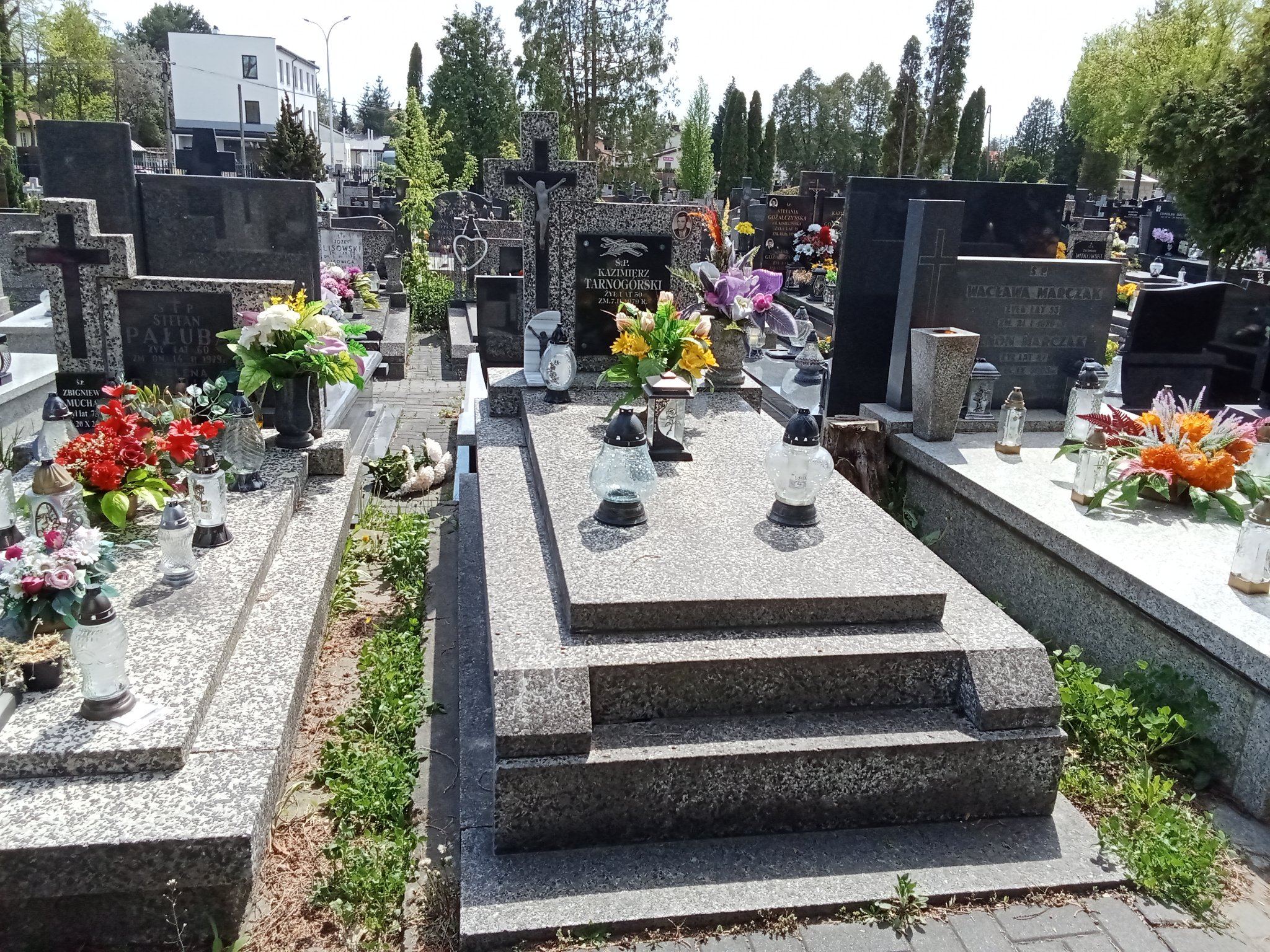 Grób Monika Tarnogórska