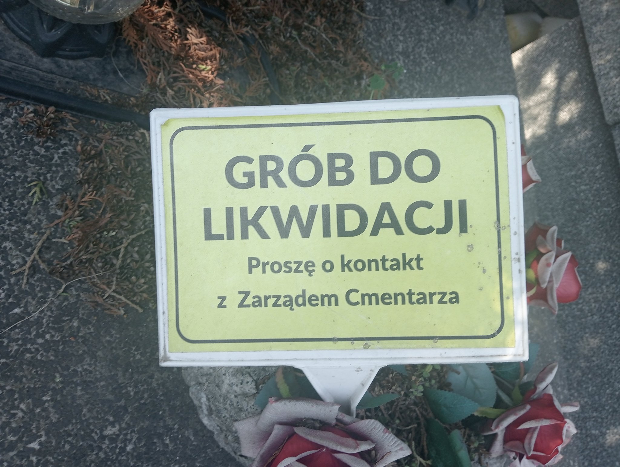 Zdjęcie grobu