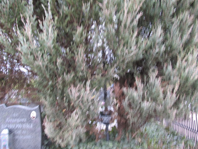 Bolesław Pawlak 1926 Piaseczno - Grobonet - Wyszukiwarka osób pochowanych